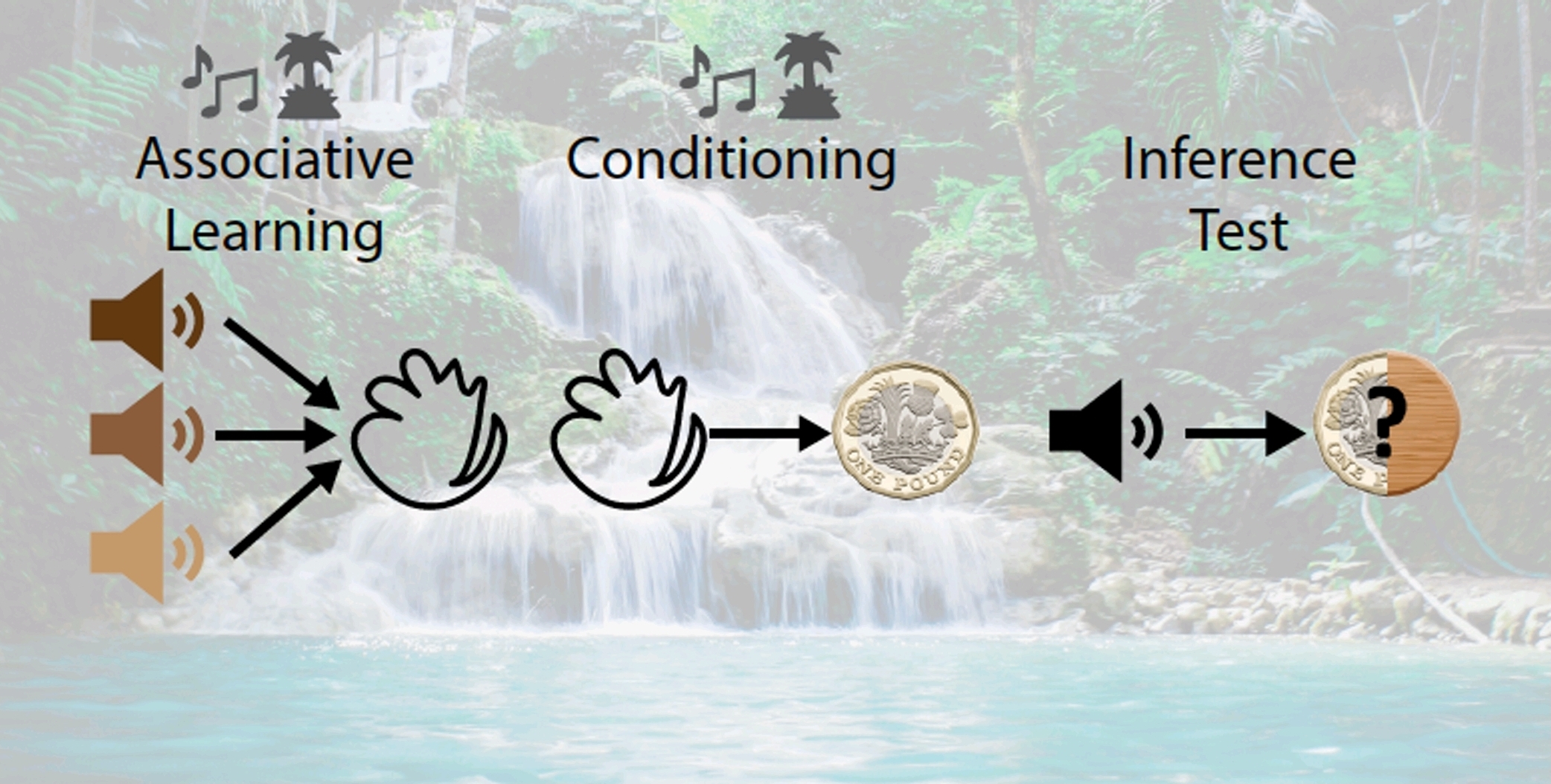 A photo of a waterfall with a diagram of the experiment flow in front of it.