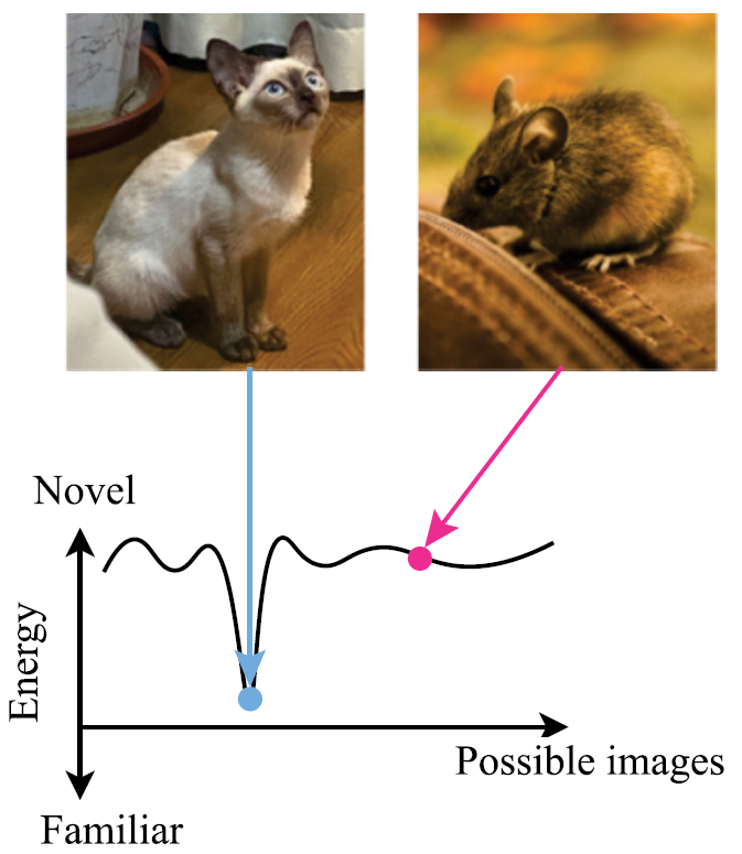 Energy of novel and familiar stimuli