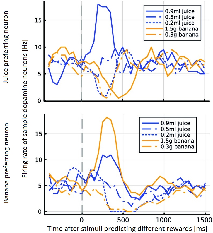 Activity of dopamine neurons encoding water and food prediction errors.