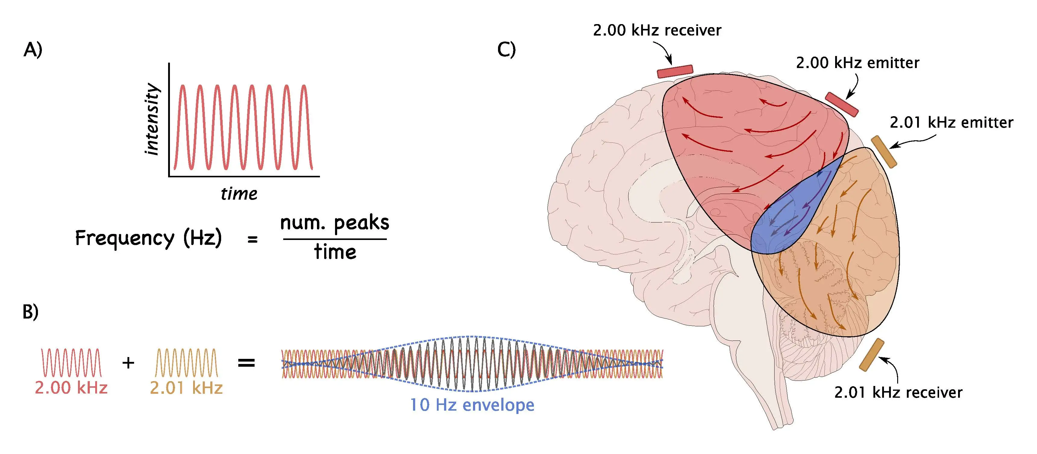 Schematic description of Temporal Interference Stimulation