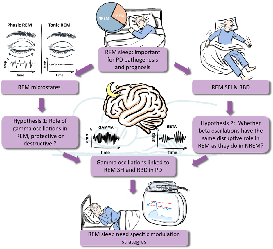 Summary of the methods, hypotheses, and results of the study