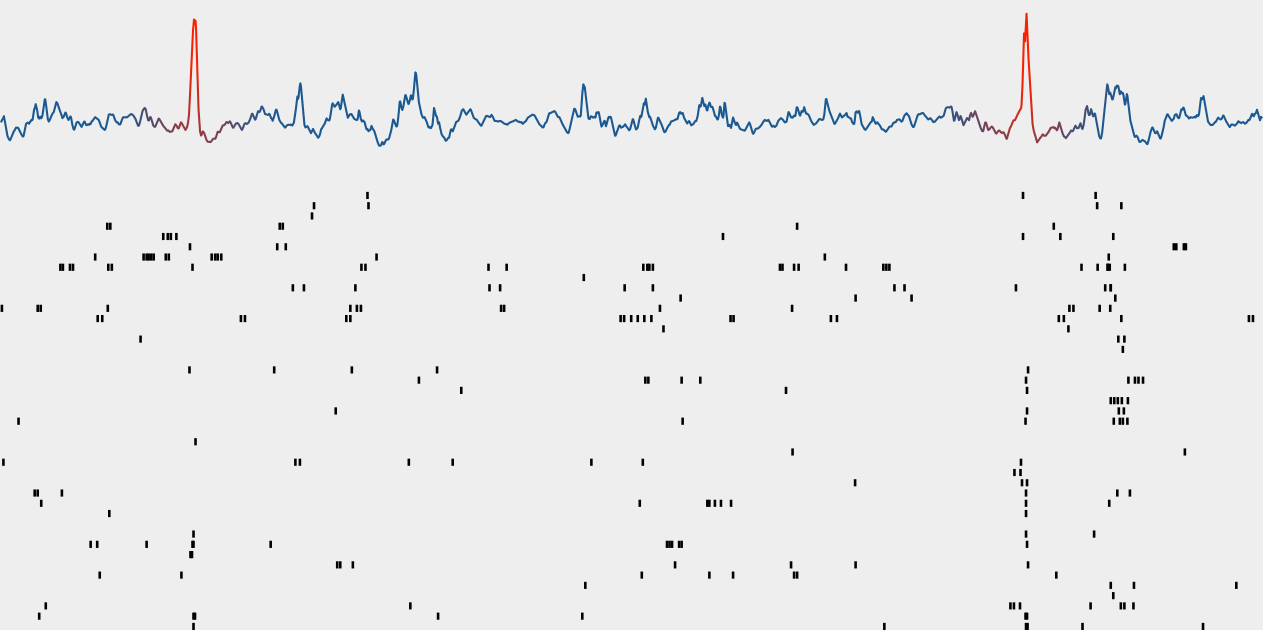 plot of LFP showing dentate spikes, and a plot of multiple neurons spiking underneath