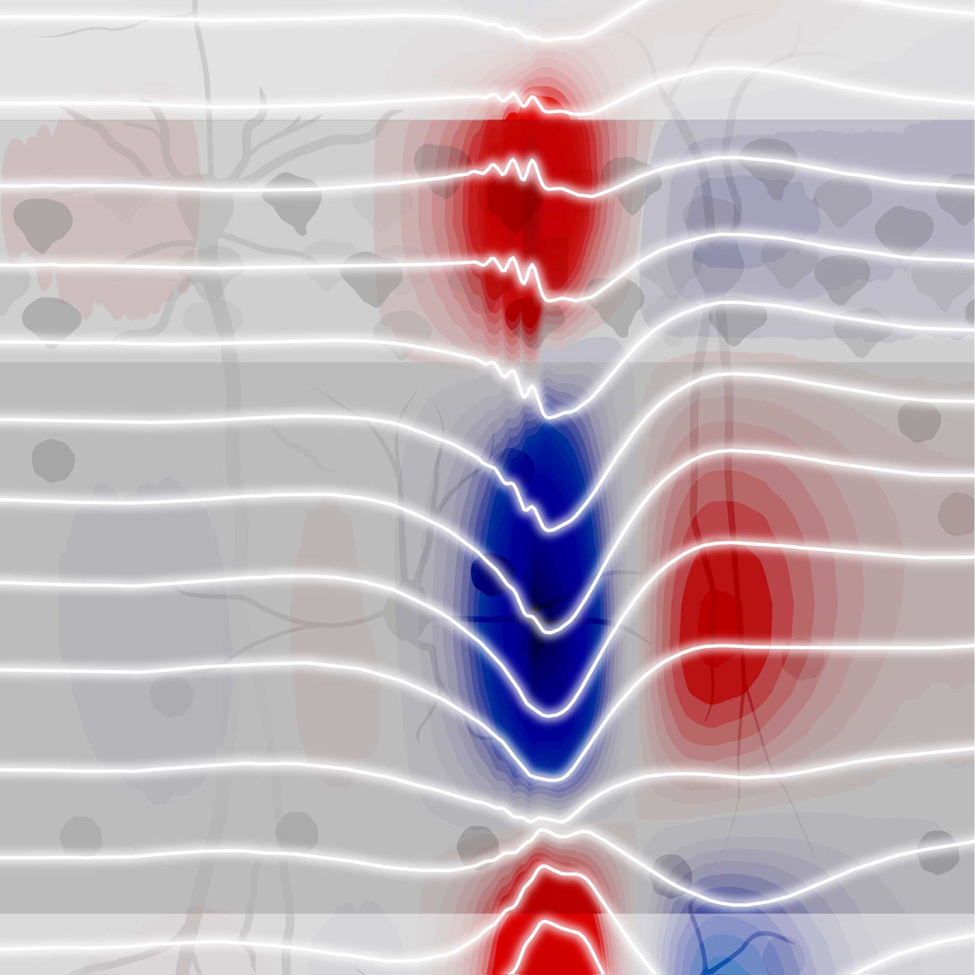 an abstract image of a current source density plot with layers of the hippocampus behind it, and local field potential traces in front of it.