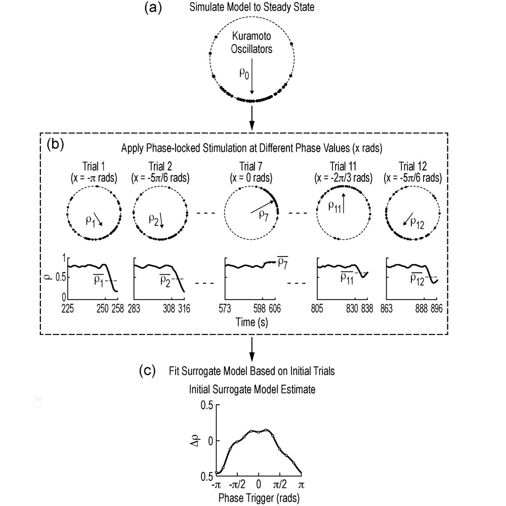 black and white line drawing showing models of phases for stimulating