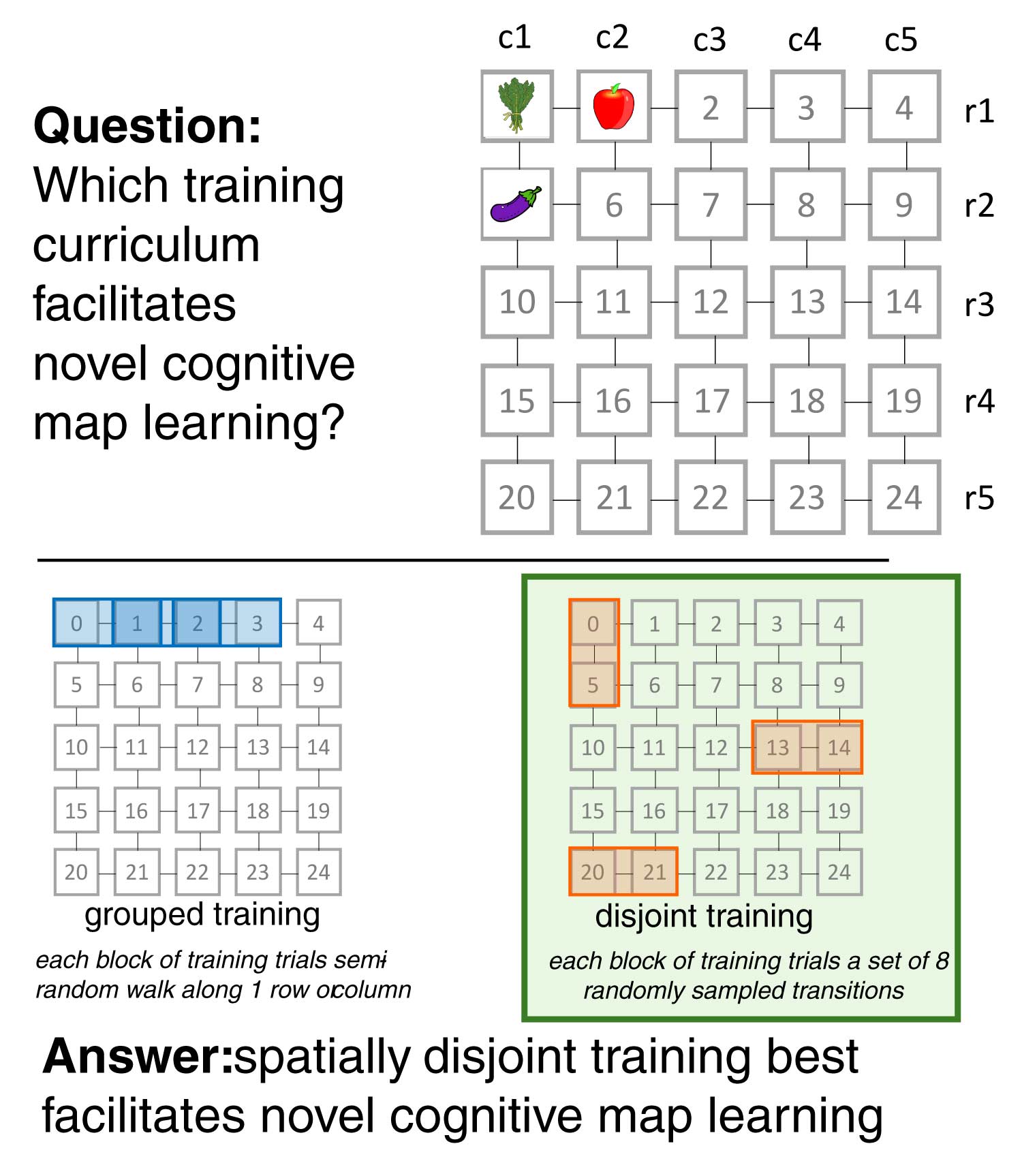 How does curriculum learning influence cognitive map formation?