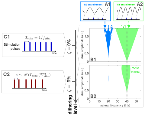 Figure comparing the effect of perfectly regular stimulation pulses with stimulation pulses whose timing is slightly varied, called dithering.