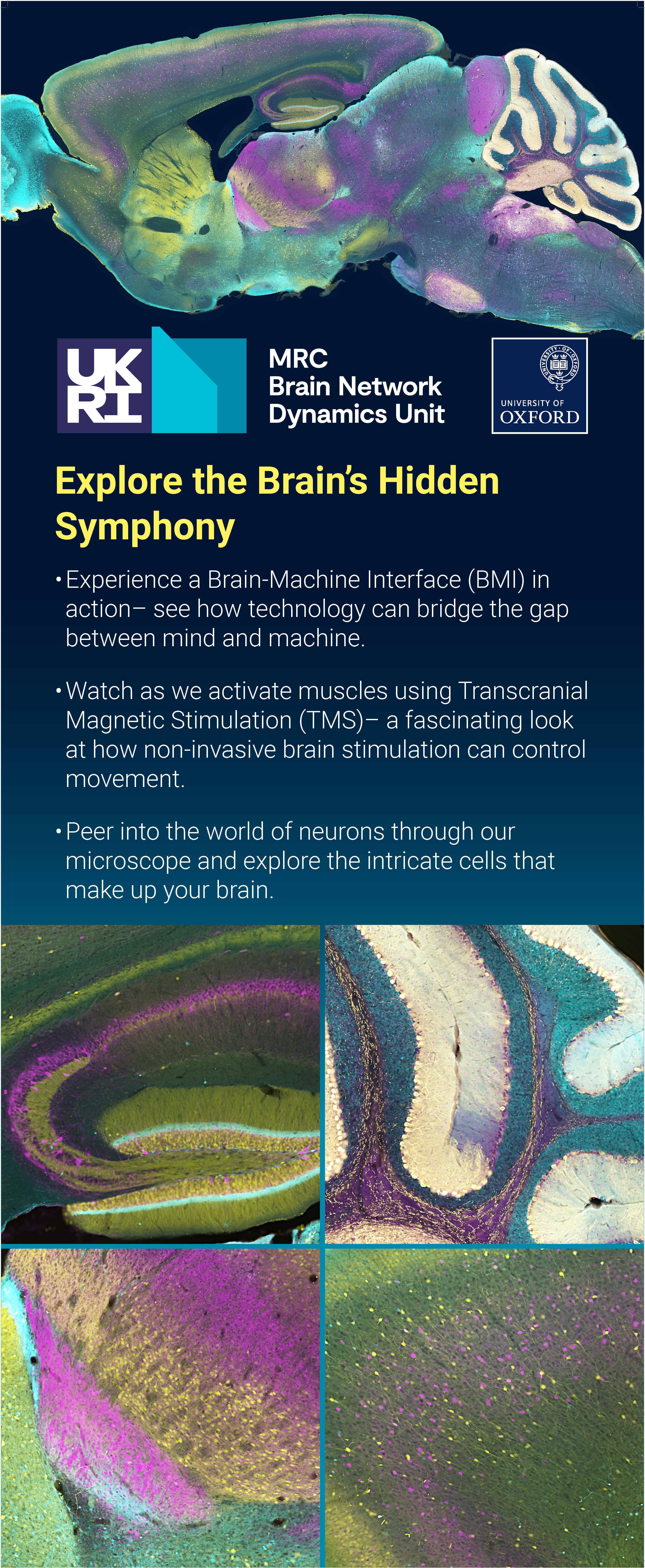 fluorescence images of the mouse brain on a banner about the day's activities