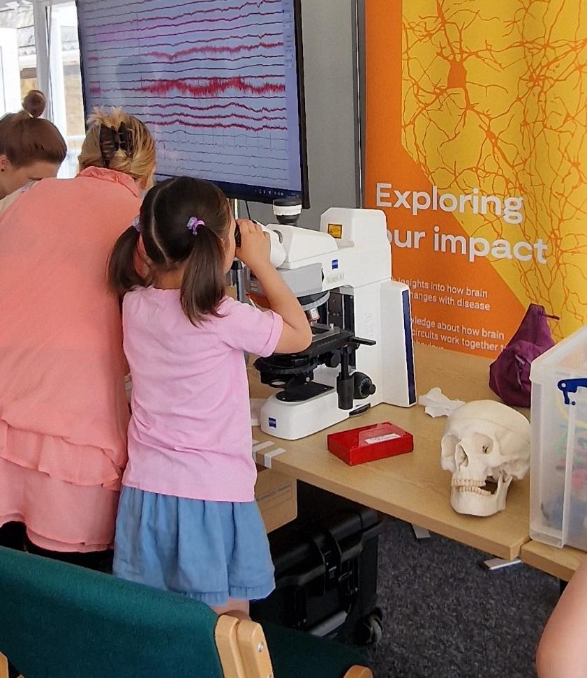 a young child kneels on a chair to reach the eyepieces of a fluorescnce microscope