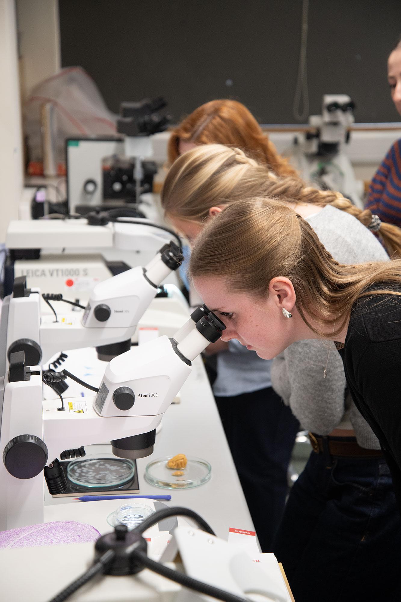 three pupils look down microscopes