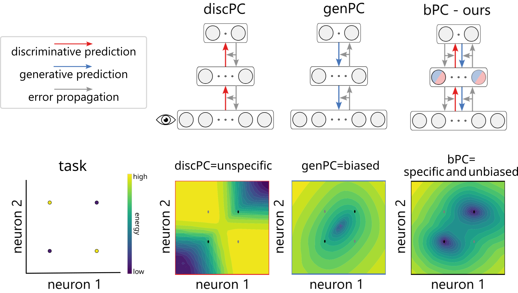 summary of the paper's neural networks